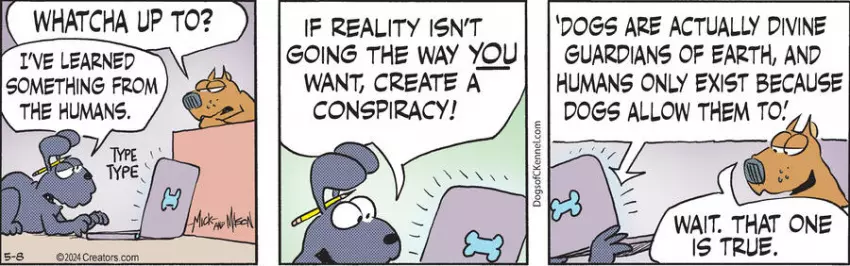 Dogs of C-Kennel for May 08, 2024