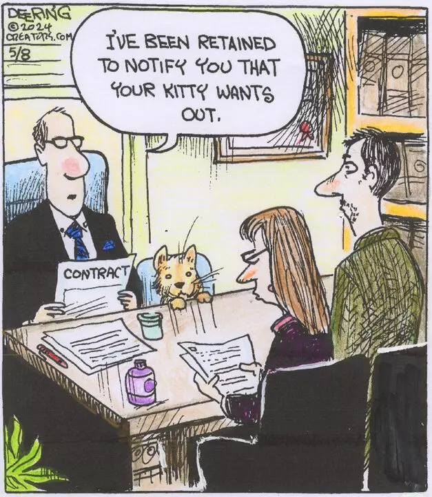 Strange Brew for May 08, 2024