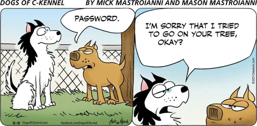 Dogs of C-Kennel for May 09, 2021