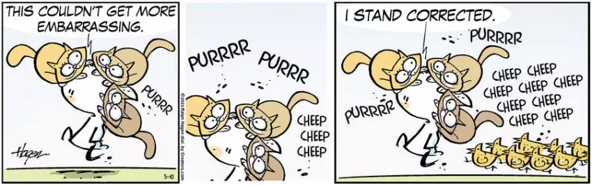 The Barn for May 10, 2023