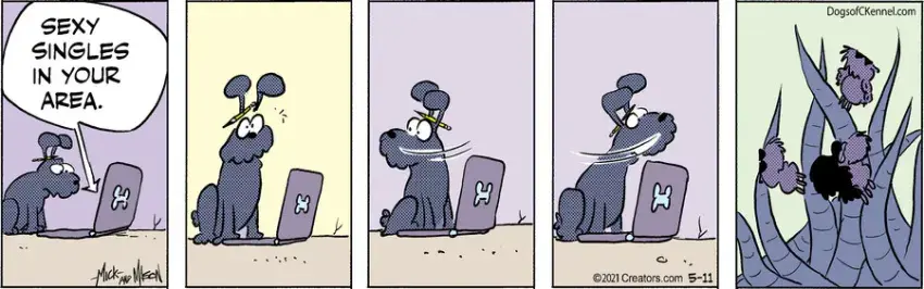 Dogs of C-Kennel for May 11, 2021