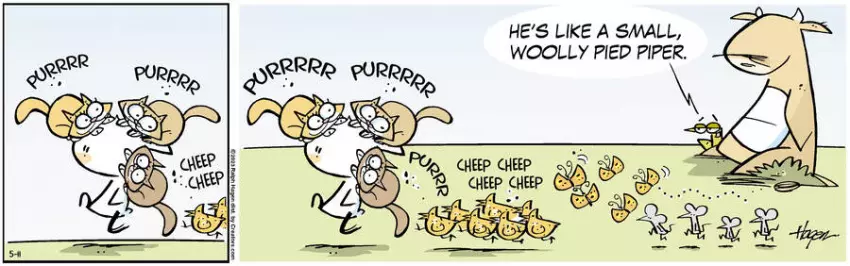 The Barn for May 11, 2023