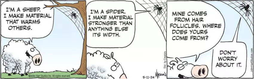 B.C. for May 11, 2024