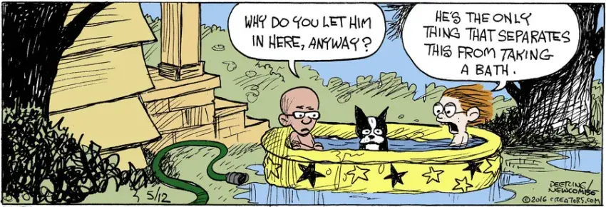 Zack Hill for May 12, 2021