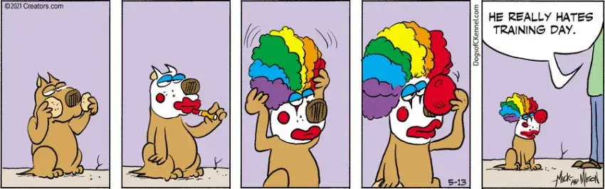 Dogs of C-Kennel for May 13, 2021