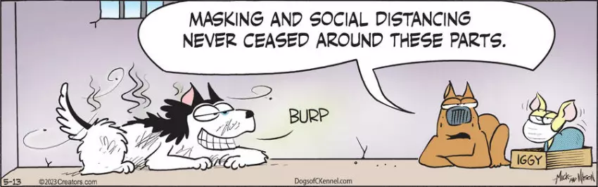 Dogs of C-Kennel for May 13, 2023
