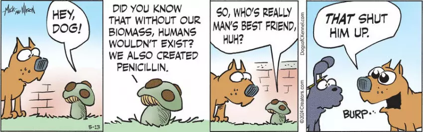 Dogs of C-Kennel for May 13, 2024