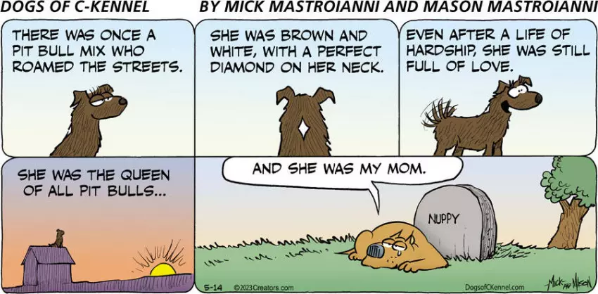 Dogs of C-Kennel for May 14, 2023