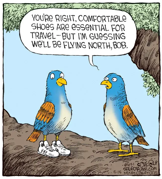 Speed Bump for May 15, 2021