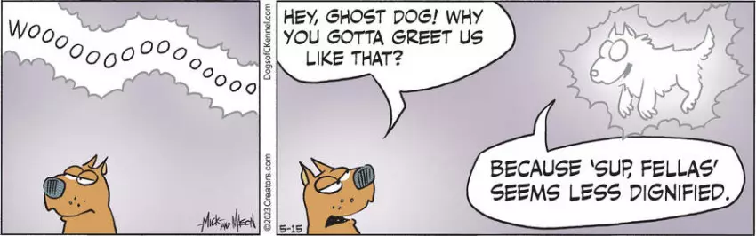 Dogs of C-Kennel for May 15, 2023