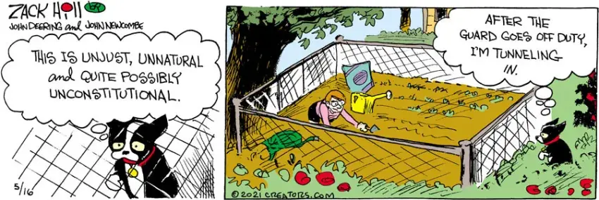 Zack Hill for May 16, 2021