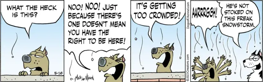 Dogs of C-Kennel for May 16, 2022