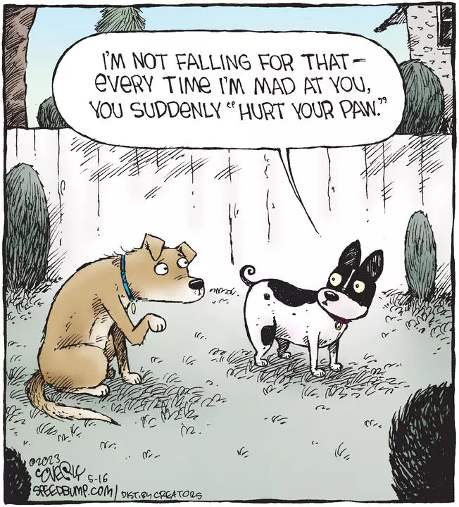 Speed Bump for May 16, 2023