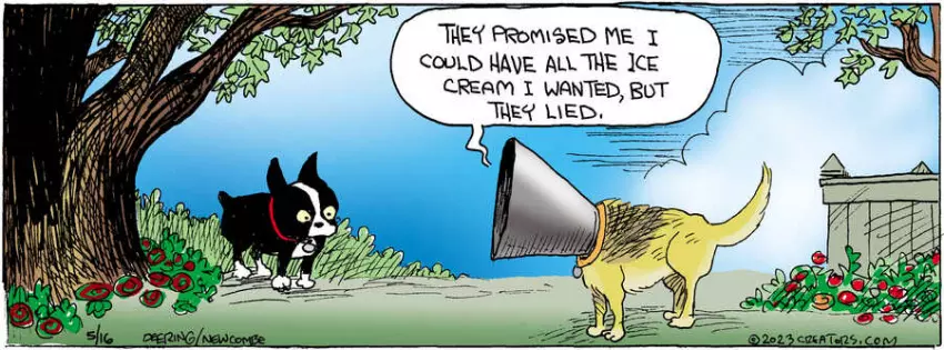 Zack Hill for May 16, 2023