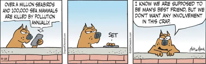 Dogs of C-Kennel for May 18, 2024