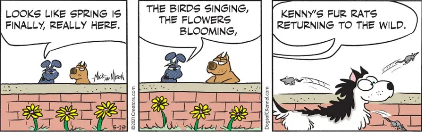 Dogs of C-Kennel for May 19, 2021