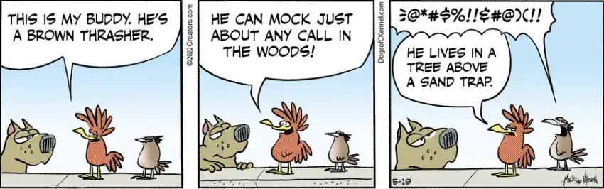 Dogs of C-Kennel for May 19, 2022