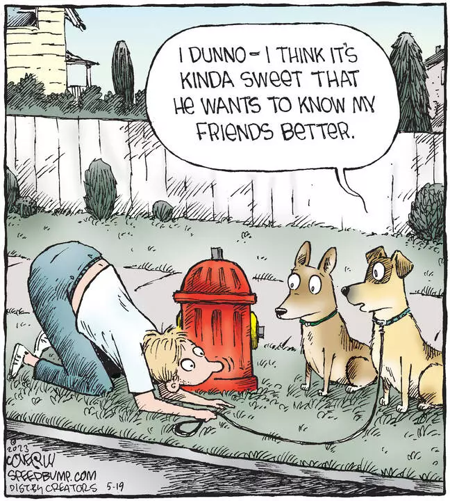 Speed Bump for May 19, 2023