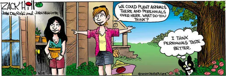 Zack Hill for May 19, 2024