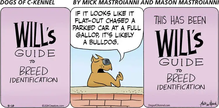 Dogs of C-Kennel for May 19, 2024