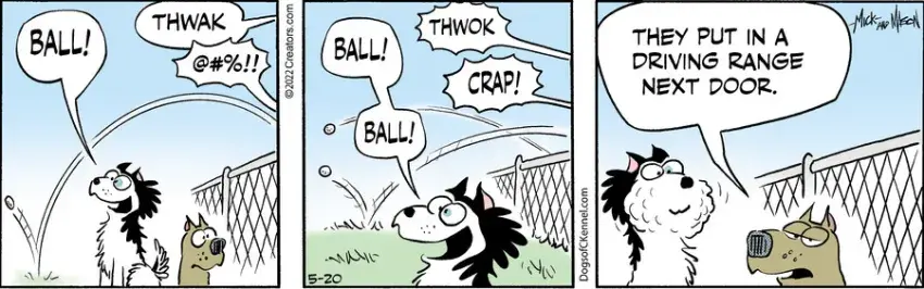 Dogs of C-Kennel for May 20, 2022