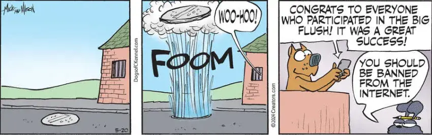 Dogs of C-Kennel for May 20, 2024