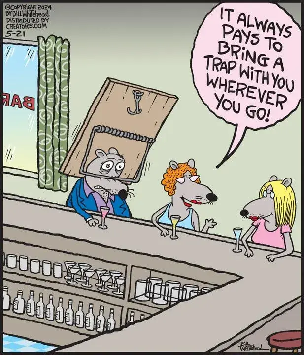 Free Range for May 21, 2024