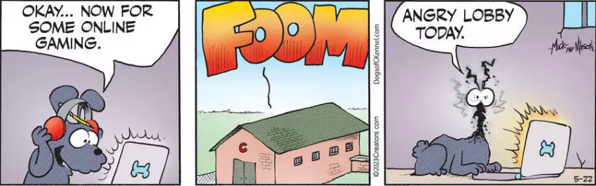 Dogs of C-Kennel for May 22, 2023