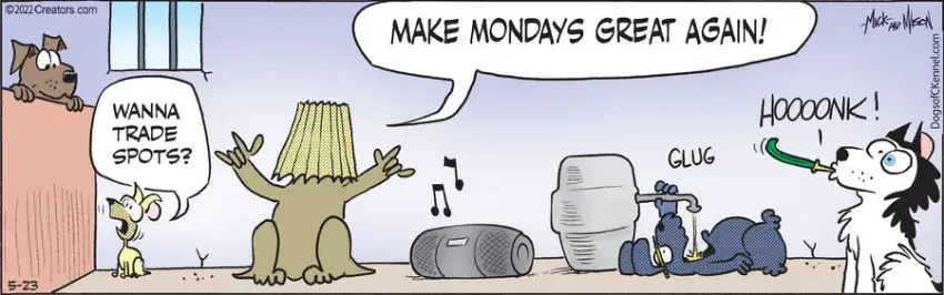 Dogs of C-Kennel for May 23, 2022