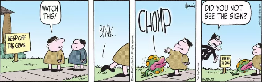 Wizard of Id for May 23, 2023