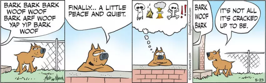 Dogs of C-Kennel for May 23, 2023