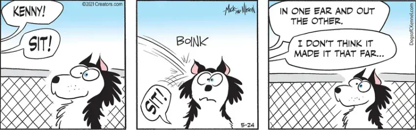 Dogs of C-Kennel for May 24, 2021
