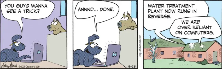 Dogs of C-Kennel for May 25, 2021