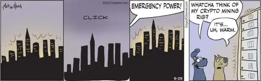 Dogs of C-Kennel for May 25, 2022