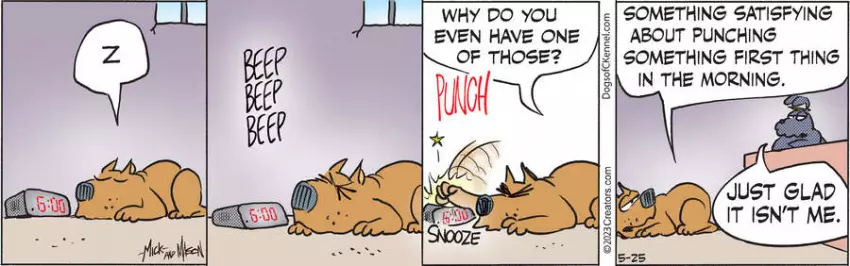 Dogs of C-Kennel for May 25, 2023