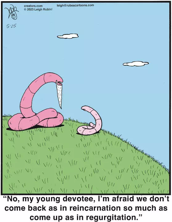 Rubes® for May 25, 2023