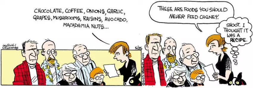 Zack Hill for May 25, 2023