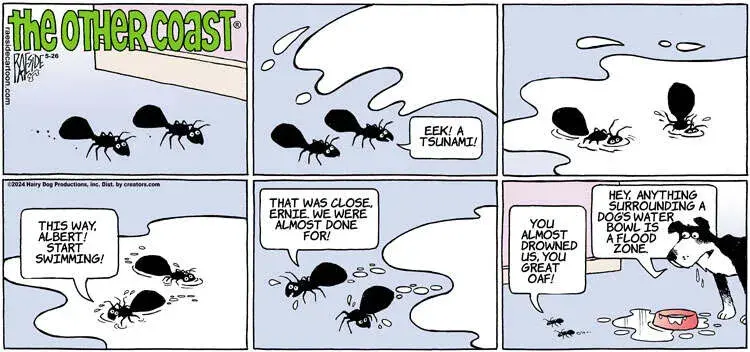 The Other Coast for May 26, 2024