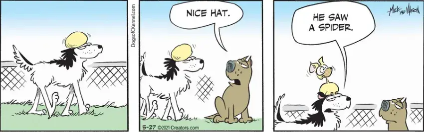 Dogs of C-Kennel for May 27, 2021