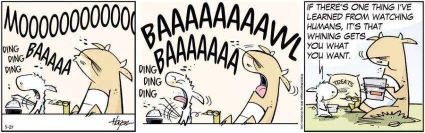 The Barn for May 27, 2023