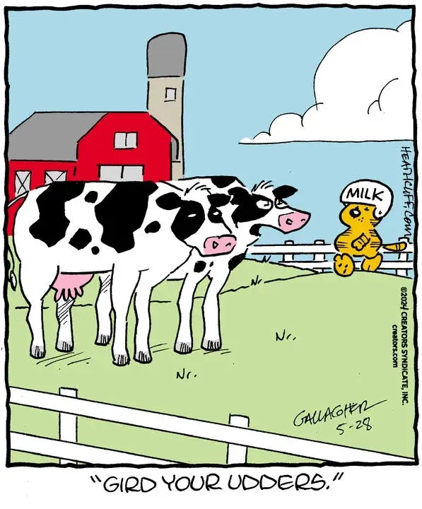 Heathcliff for May 28, 2024