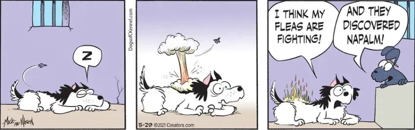 Dogs of C-Kennel for May 29, 2021