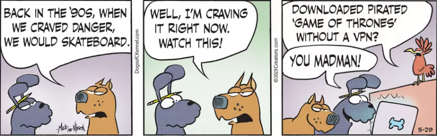 Dogs of C-Kennel for May 29, 2023