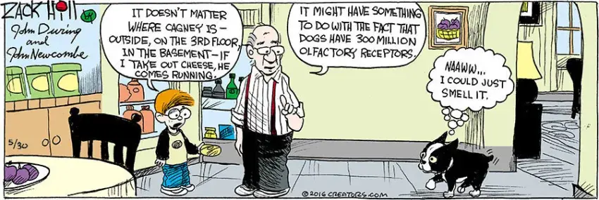 Zack Hill for May 30, 2021