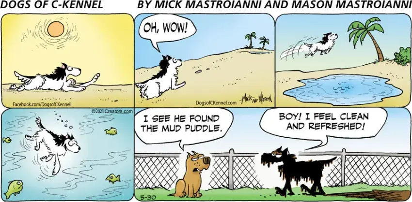 Dogs of C-Kennel for May 30, 2021