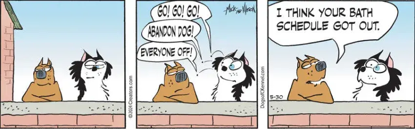 Dogs of C-Kennel for May 30, 2024