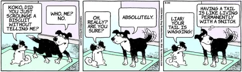 The Other Coast for May 30, 2024