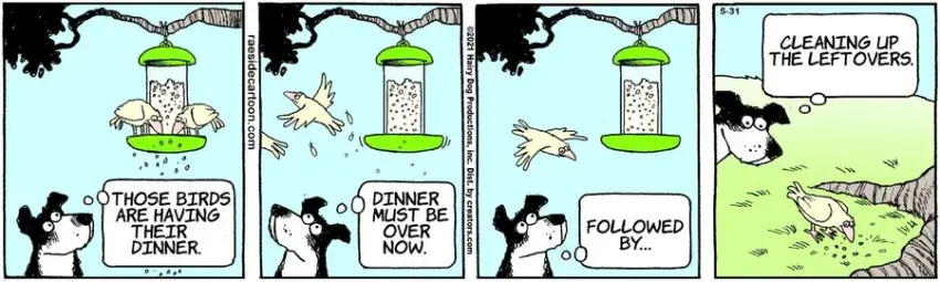 The Other Coast for May 31, 2021