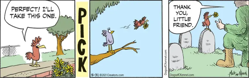 Dogs of C-Kennel for May 31, 2021