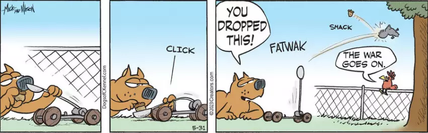 Dogs of C-Kennel for May 31, 2023